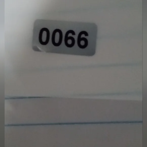 Duluth Trading Co Men's Blue Striped Button Down Shirt - Picture 4 of 4